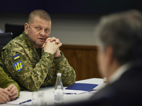 Заместитель министра обороны Украины Маляр заявила, что Залужный продолжает исполнять обязанности главкома ВСУ