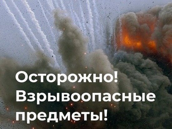 Белгородцев проинформировали о действиях при обнаружении взрывоопасных предметов