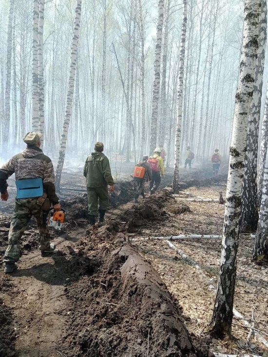 В Крутинском районе потушили крупный лесной пожар