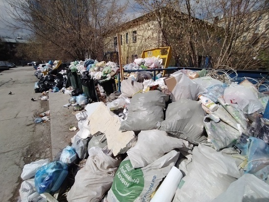 Под Бугринским мостом в Новосибирске добровольцы собрали 180 мешков мусора