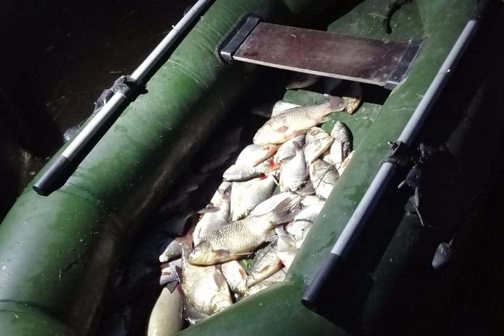 Галичские полицейские задержали с поличным трёх костромских рыбаков-браконьеров