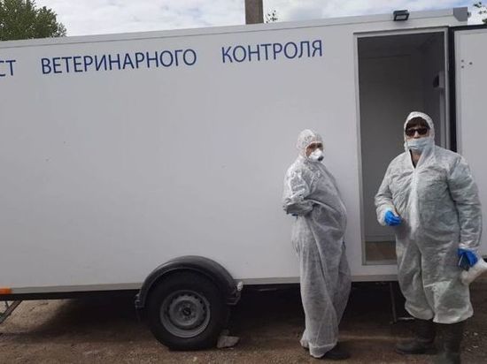В Ярославской области выявлена вспышка высокопатогенного птичьего гриппа