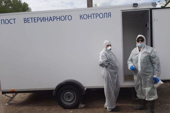 В Ярославской области выявлена вспышка высокопатогенного птичьего гриппа