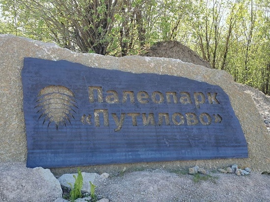 Полевой сезон палеопарка «Путилово» открылся в Кировском районе