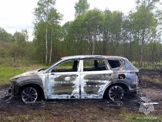 Hyundai рыбака из Ельнинского района сгорел до основания