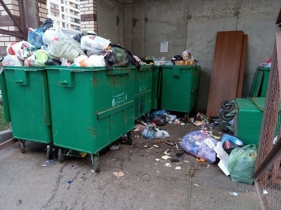 В Калининградской области объявлены торги на перевозку мусора на 2,2 млн рублей