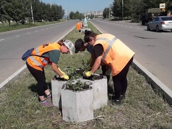Попова попросила жителей Читы не вытаптывать цветы на клумбах по Ленина