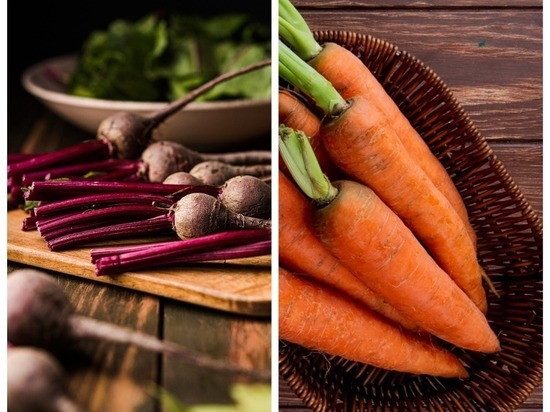 В Новосибирске агроном Шубина дала рекомендации о посадке моркови и свёклы