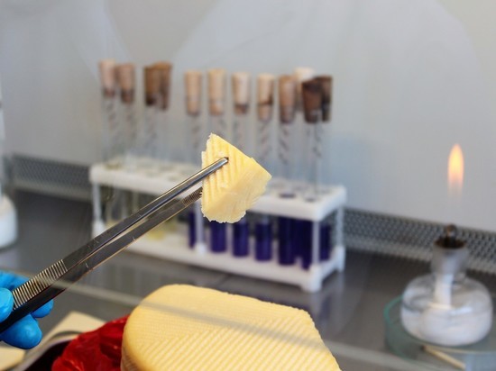 В Омске обнаружили фальсифицированный сыр и сливочное масло