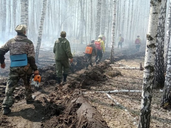 В Омской области сняли режим ЧС в связи с сокращением природных пожаров