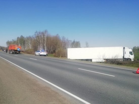 В Новосибирской области пенсионер погиб в ДТП с грузовиком Renault Premium