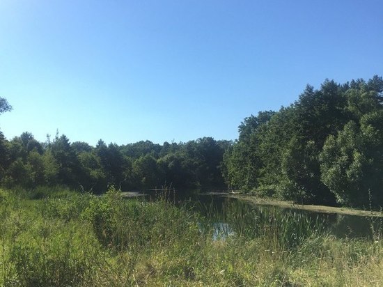В Пензенской области полицейский спас мужчину из воды