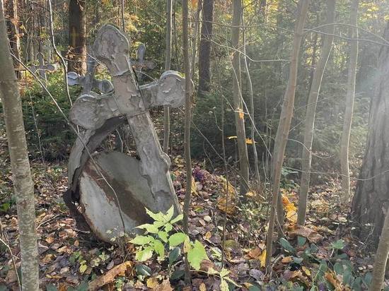 Вандалы испортили три могилы на кладбище в деревне Озерки