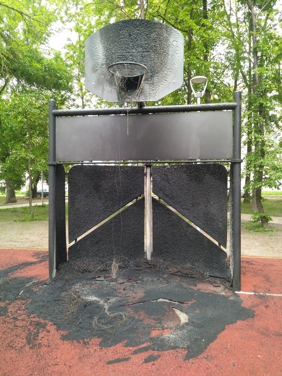 Спортивную площадку подожгли вандалы в парке имени Гагарина в Пскове