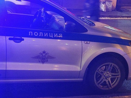 Трое неизвестных избили вооруженного петербуржца у «РосАла» на улице Мира