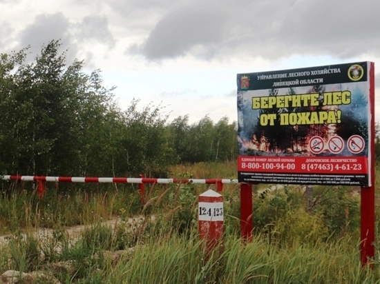 В леса Липецкой области запретили въезд на машинах