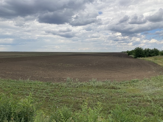 В Саратовской области археологи нашли старинное поселение