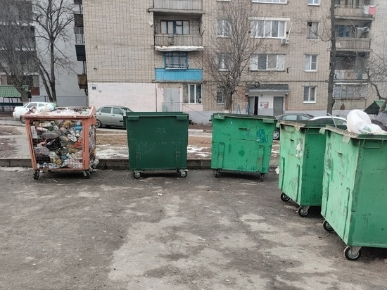 Правительство ДНР взяло на контроль ситуацию с вывозом мусора в регионе