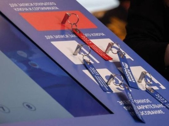 Предварительное голосование по местным выборам начались на Чукотке