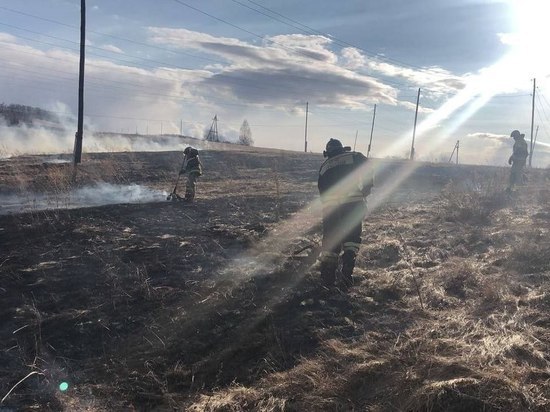 За минувшие сутки в Красноярском крае 29 раз тушили траву и 54 дома