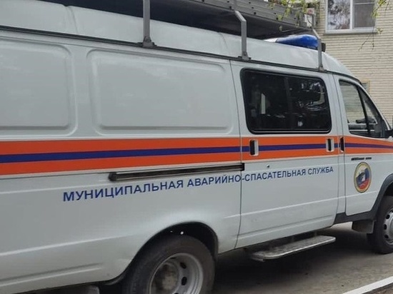 В Новосибирске спасатели освободили застрявший в игрушке палец 8-летней девочки