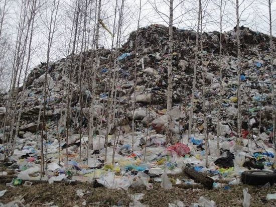 Прокуратура Башкирии потребовала ликвидировать незаконную свалку и слив отходов в Мишкино