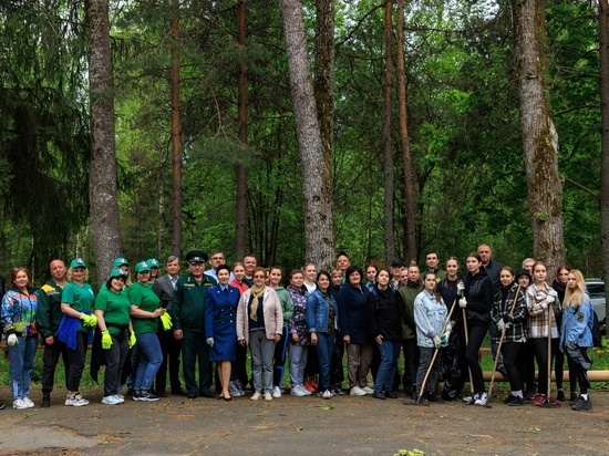 Акция "Чистый лес - чистая планета" прошла в Брянске
