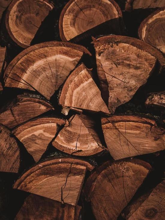За месяц из Бурятии вывезли более 500 кубов леса без сертификата