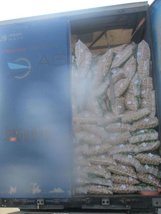 Челябинские таможенники не пустили в страну больше 40 тонн сомнительных орехов