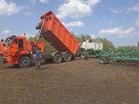 В Томской области засеяли зерном более 50% планируемых полей