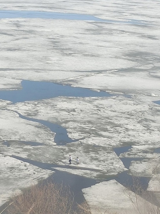 Плавают на льдинах и бродят по берегам: в ЯНАО следователи призвали взрослых не пускать детей на весенние водоемы