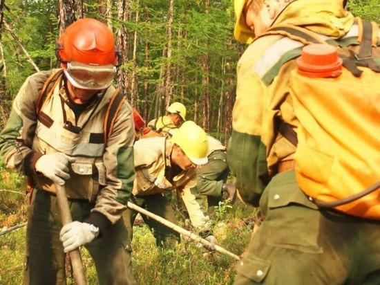 Еще 6 лесных возгораний потушили за сутки в Приангарье