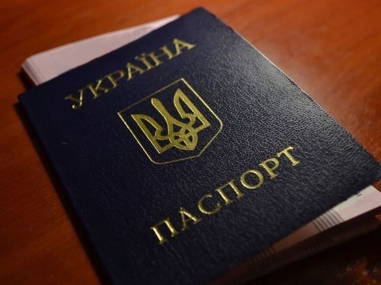 Глава Львовской ОВА Козицкий призвал убрать русский язык из украинских паспортов