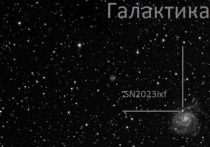 Астрофизики из Балтийского федерального университета получили снимок вспышки сверхновой в расположенной недалеко от Млечного Пути галактике М101