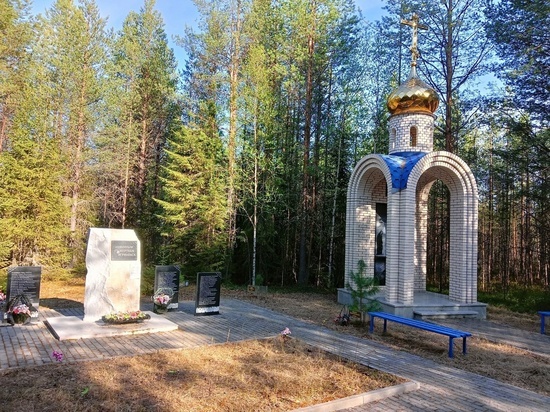 В Северодвинске волонтёры привели в порядок воинские памятники