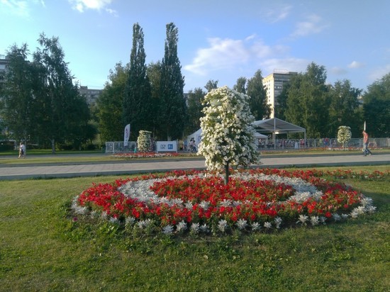 Ко Дню города в Перми появится более 805 тысяч однолетних цветов