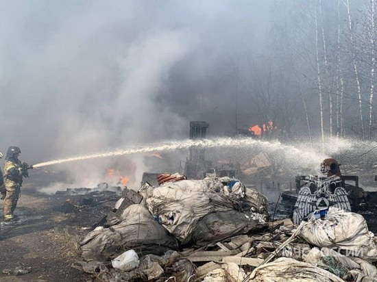 13 природных пожаров ликвидировали в Свердловской области