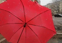 По прогнозу Амурского гидрометцентра, днем 25 мая на севере Приамурья сильно испортится погода. Ожидаются ливни, грозы и усиление ветра до 16-21 м/с.