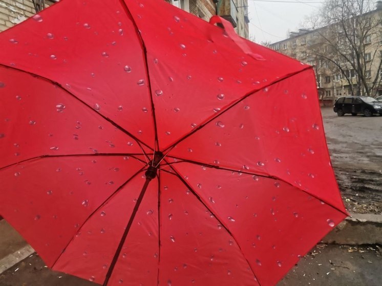 Сильный ветер с дождем и грозами ожидается в Приамурье