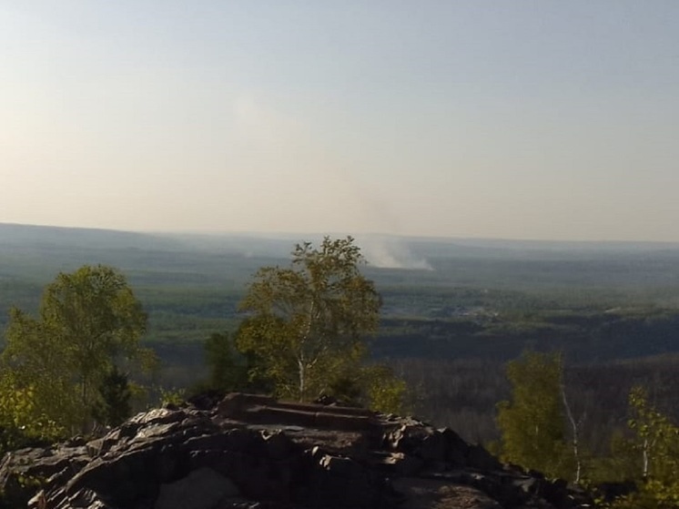 Въезды в леса в Свердловской области будут патрулировать