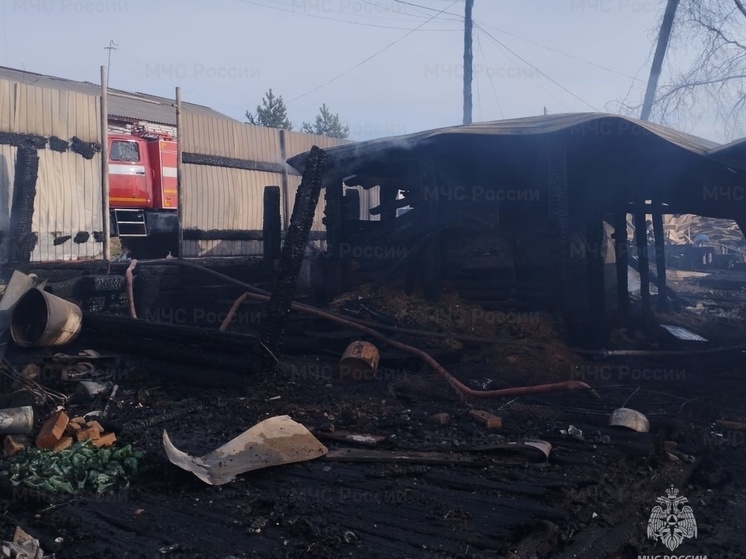 Шесть человек погибли на пожарах в Приангарье за сутки