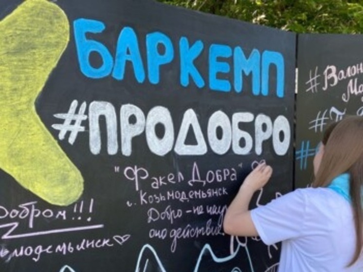 В Йошкар-Оле пройдёт Всероссийский добровольческий баркемп #ПроДобро