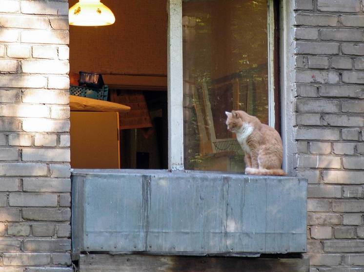 Неизвестный подглядывает в окна квартир в Ногинске