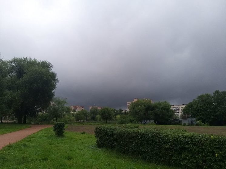 Конец солнцу: 25 мая в Петербурге пойдут дожди и прогремят грозы
