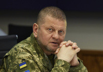 Главнокомандующий вооруженными силами Украины Валерий Залужный в начале мая получил ранение в результате российского удара по командному пункту под Херсоном