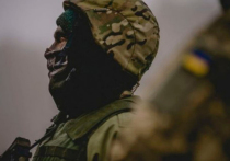 «Киеву нужна операция под прикрытием заложников»

