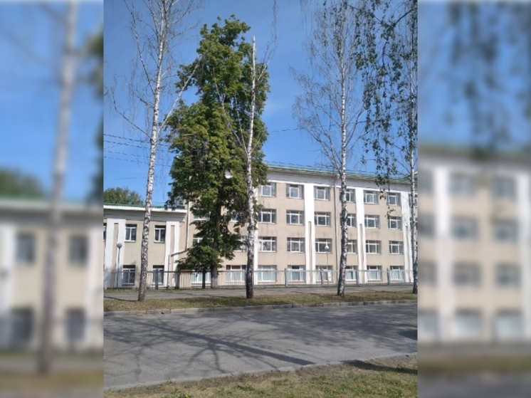 Жители Ижевска пожаловались на сухие деревья вдоль улицы Наговицына