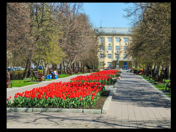 Власти Кемерова рассказали сколько стоит миллион цветов