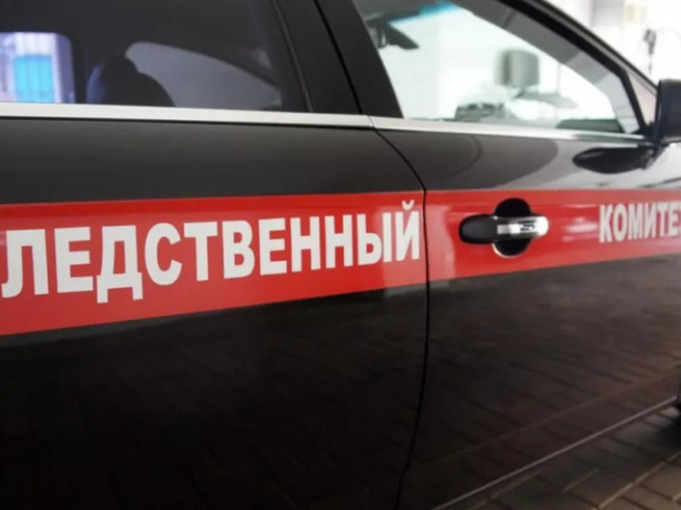 Председатель СКР Бастрыкин провел личный прием сирот из Алтайского края