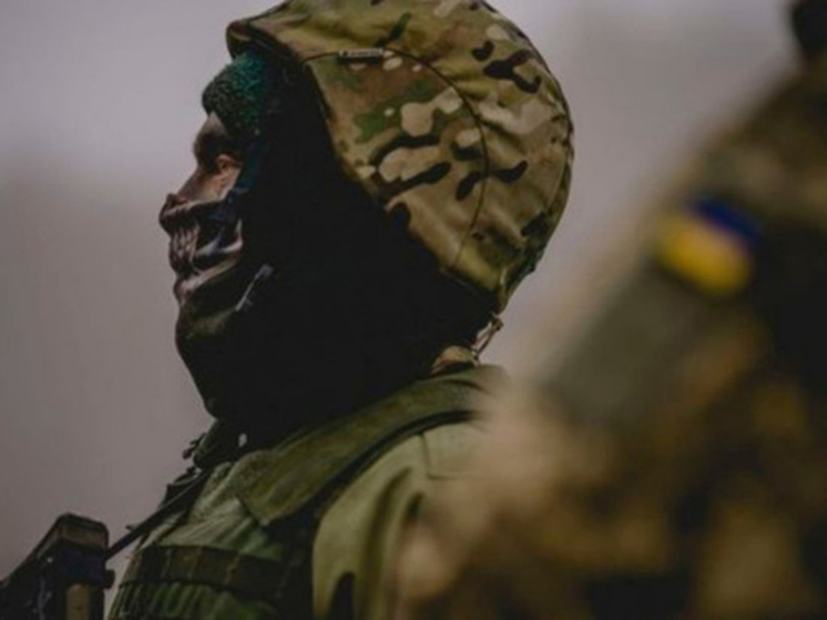 «Киеву нужна операция под прикрытием заложников»